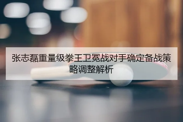 张志磊重量级拳王卫冕战对手确定备战策略调整解析